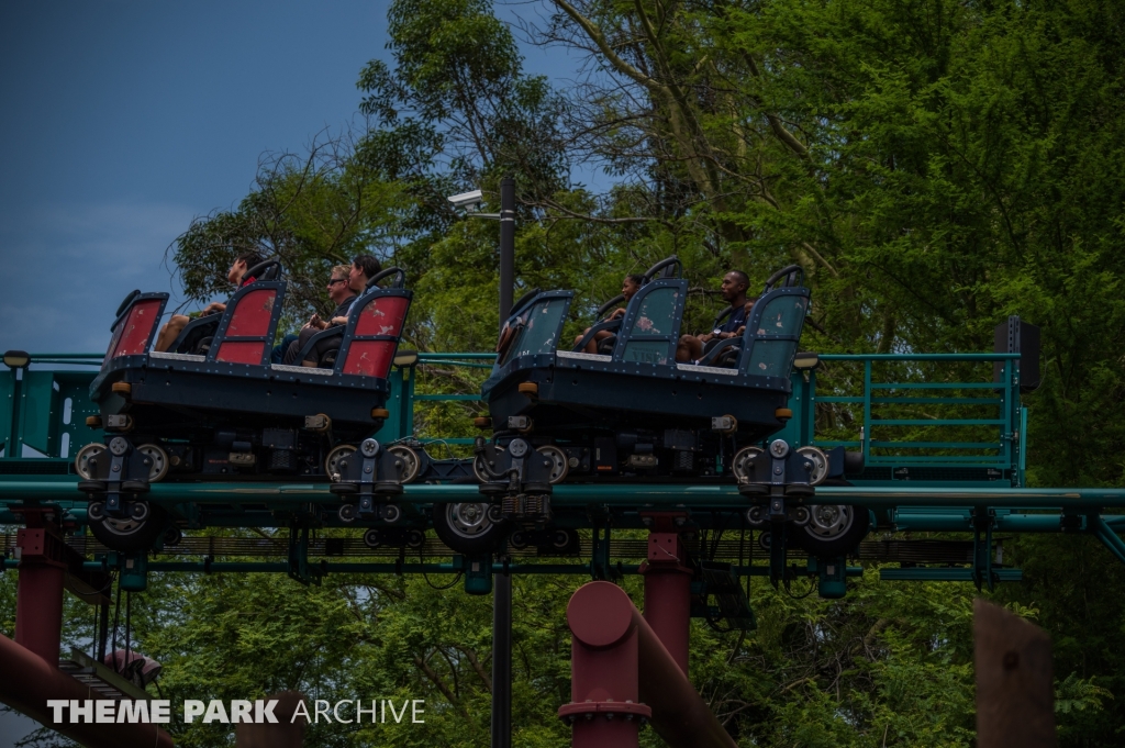 Cobra's Curse at Busch Gardens Tampa