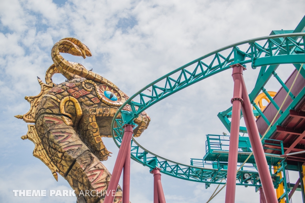 Cobra's Curse at Busch Gardens Tampa