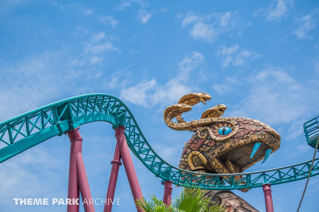 Cobra's Curse at Busch Gardens Tampa