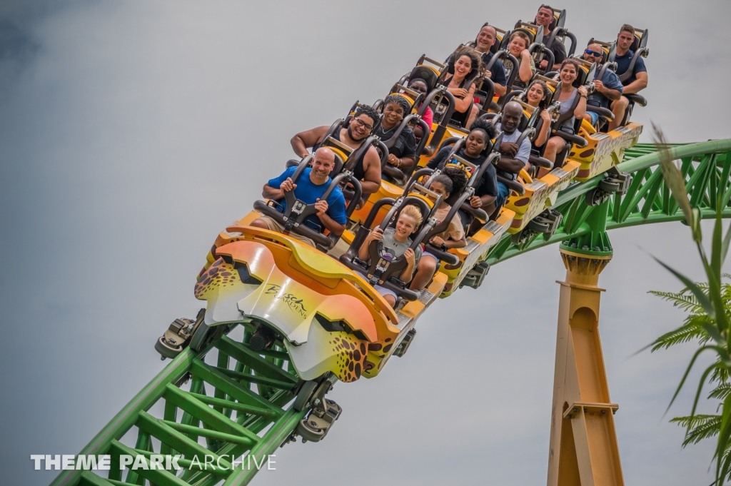 Cheetah Hunt at Busch Gardens Tampa