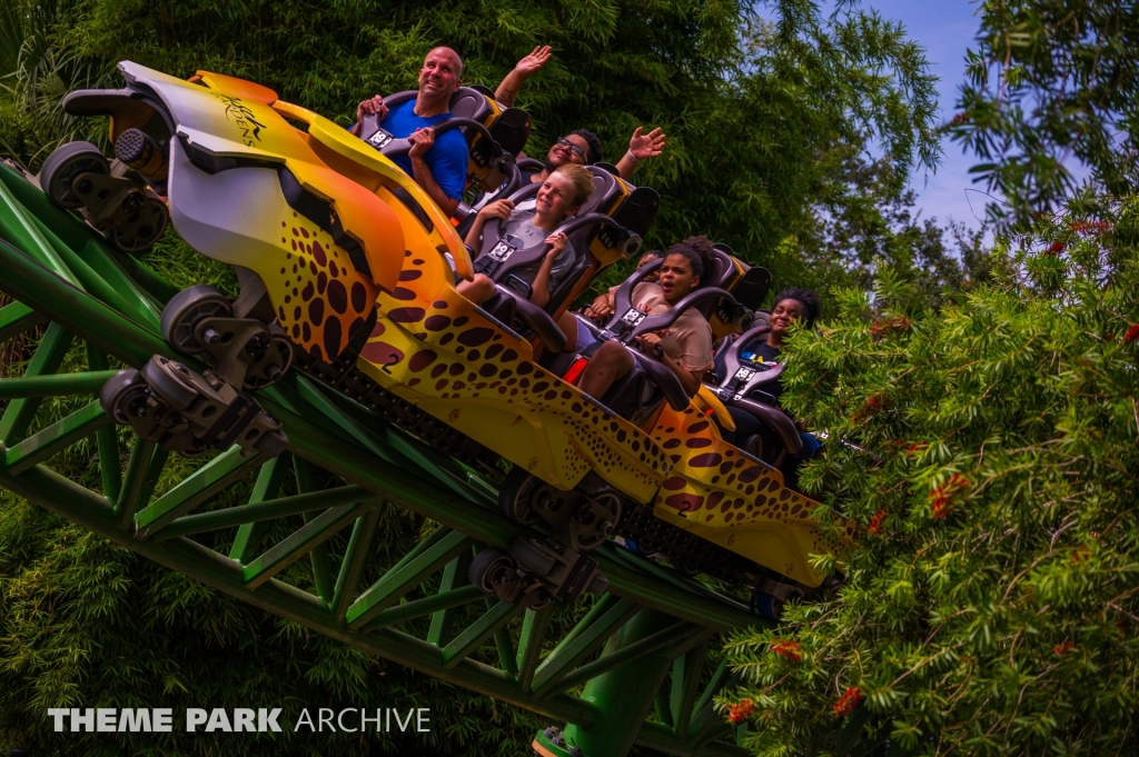Cheetah Hunt at Busch Gardens Tampa