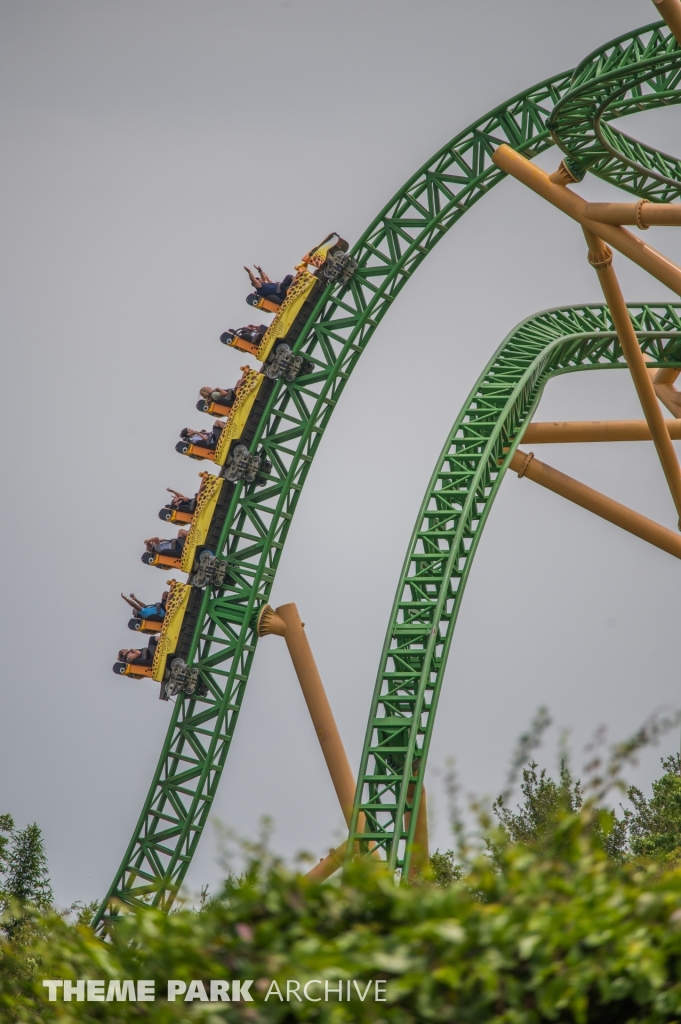 Cheetah Hunt at Busch Gardens Tampa