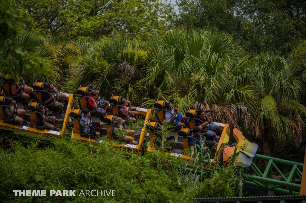 Cheetah Hunt at Busch Gardens Tampa