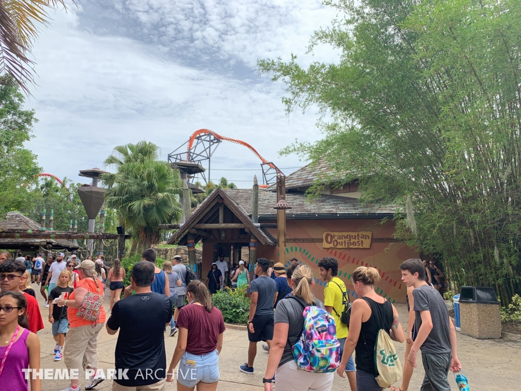 Jungala at Busch Gardens Tampa