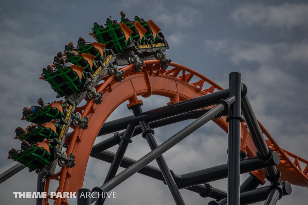 Tigris at Busch Gardens Tampa