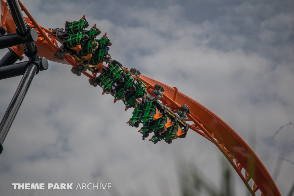 Tigris at Busch Gardens Tampa