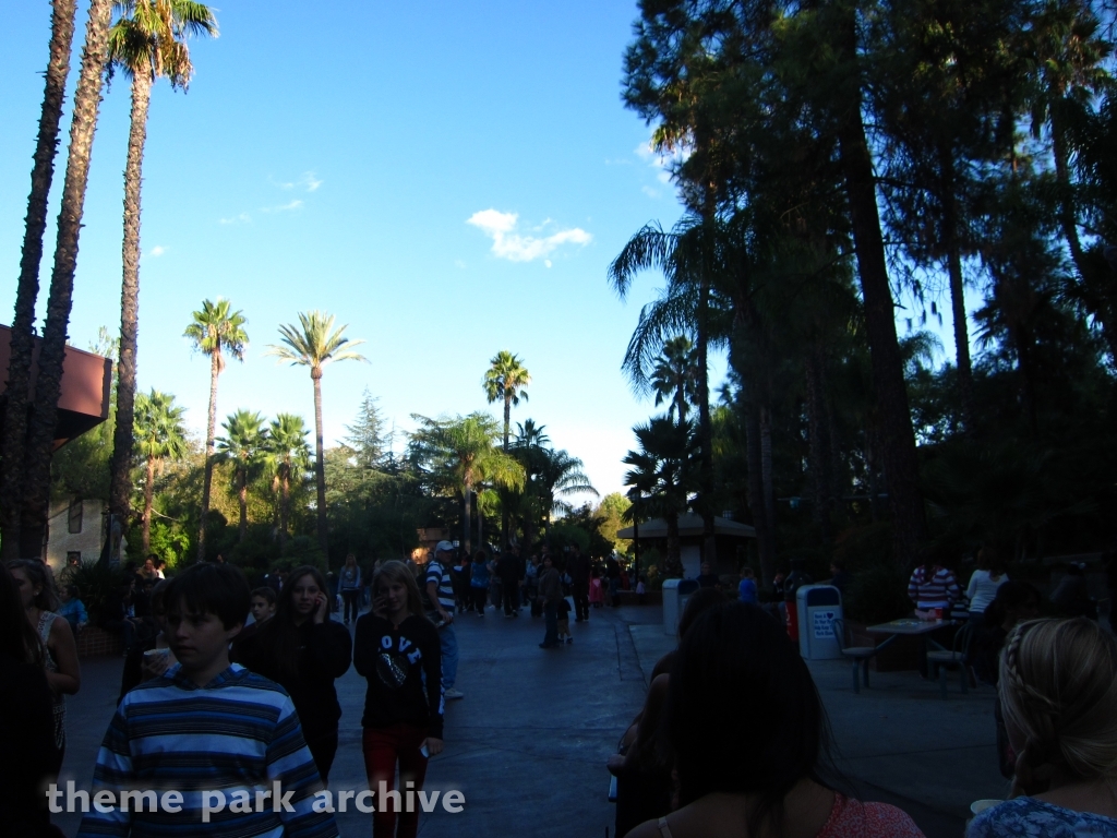 Misc at Six Flags Magic Mountain