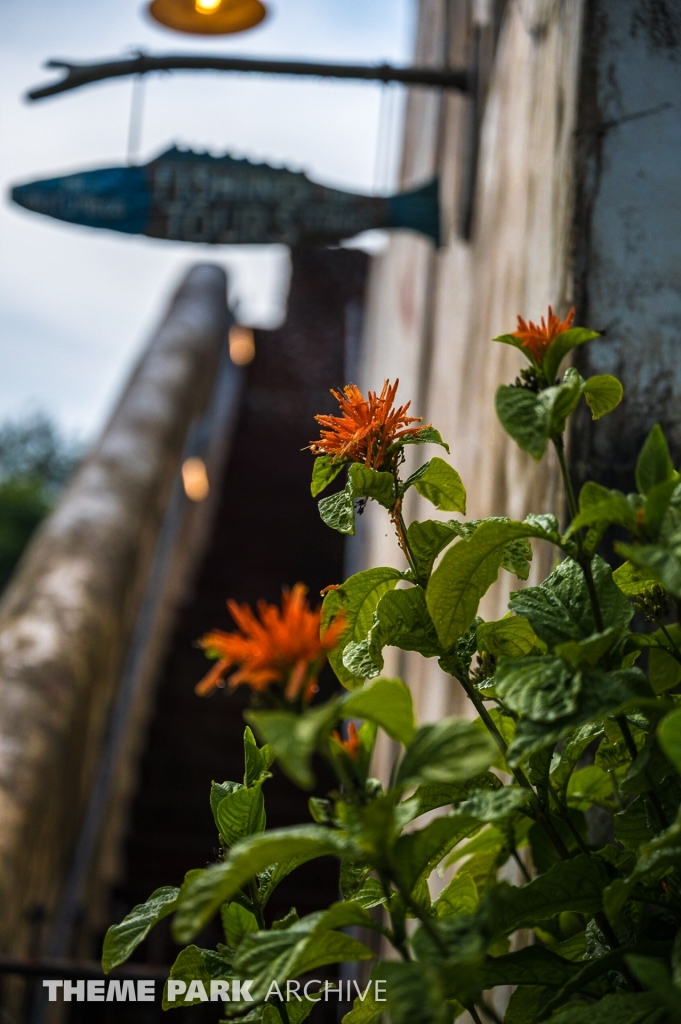 Africa at Disney's Animal Kingdom