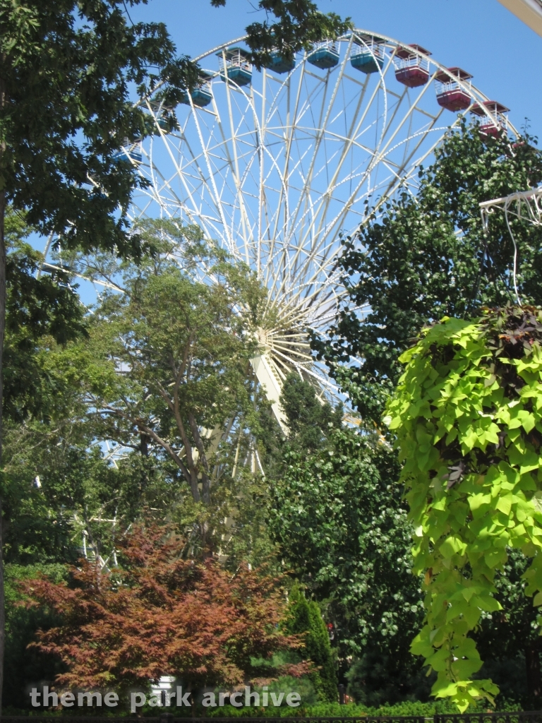 Big Wheel at Six Flags Great Adventure