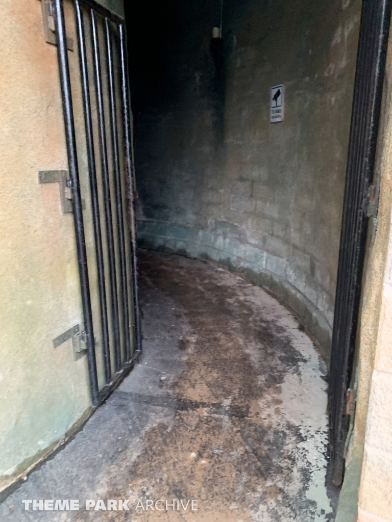 Spokjakten at Furuvik