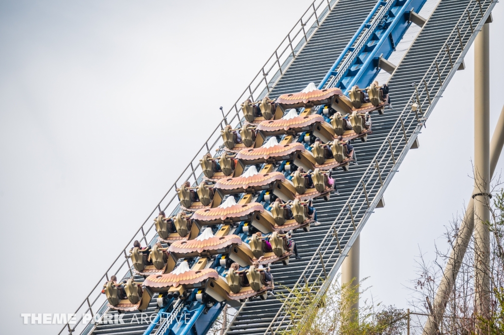 Wild Eagle at Dollywood