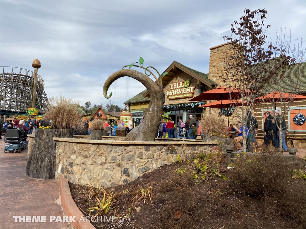 Wildwood Grove at Dollywood