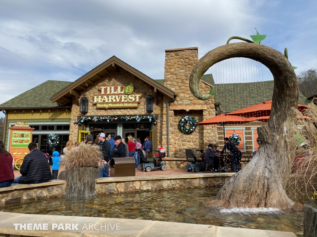 Wildwood Grove at Dollywood