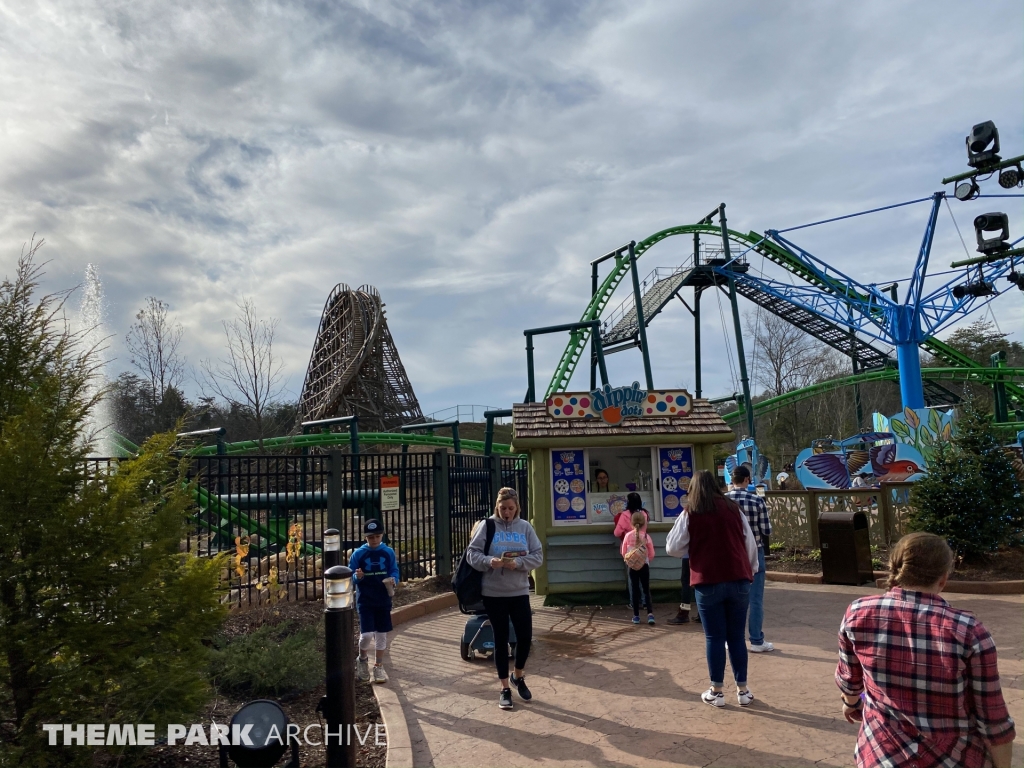 The Dragonflier at Dollywood