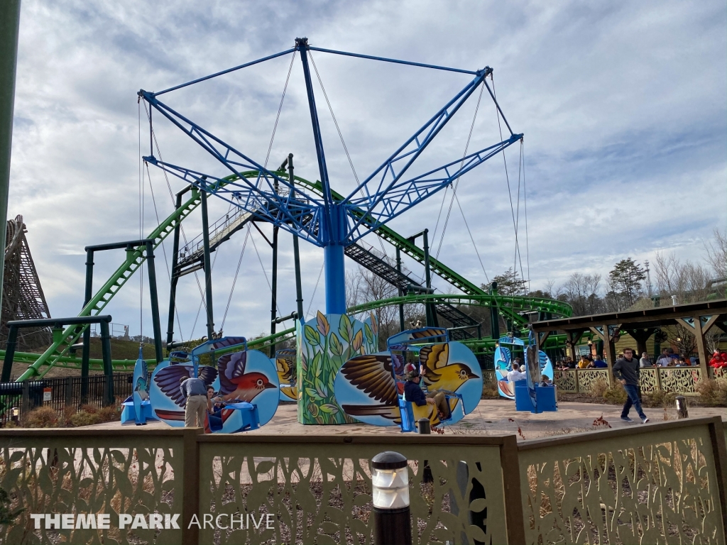 The Mad Mockingbird at Dollywood