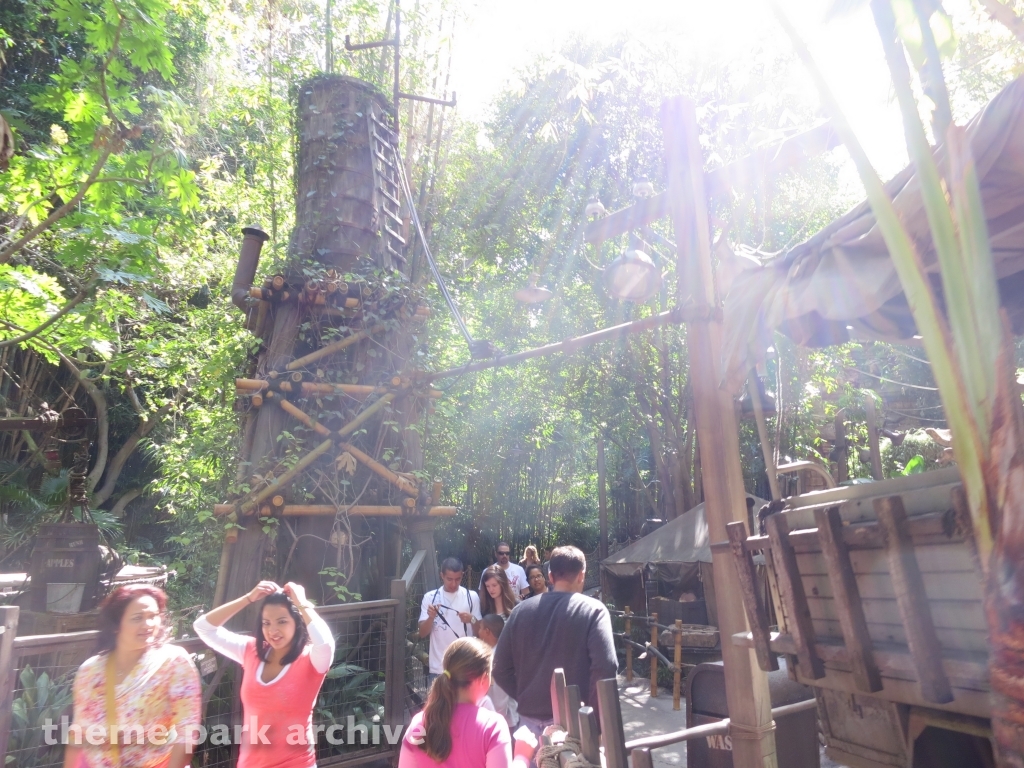 Indiana Jones Adventure at Disney California Adventure