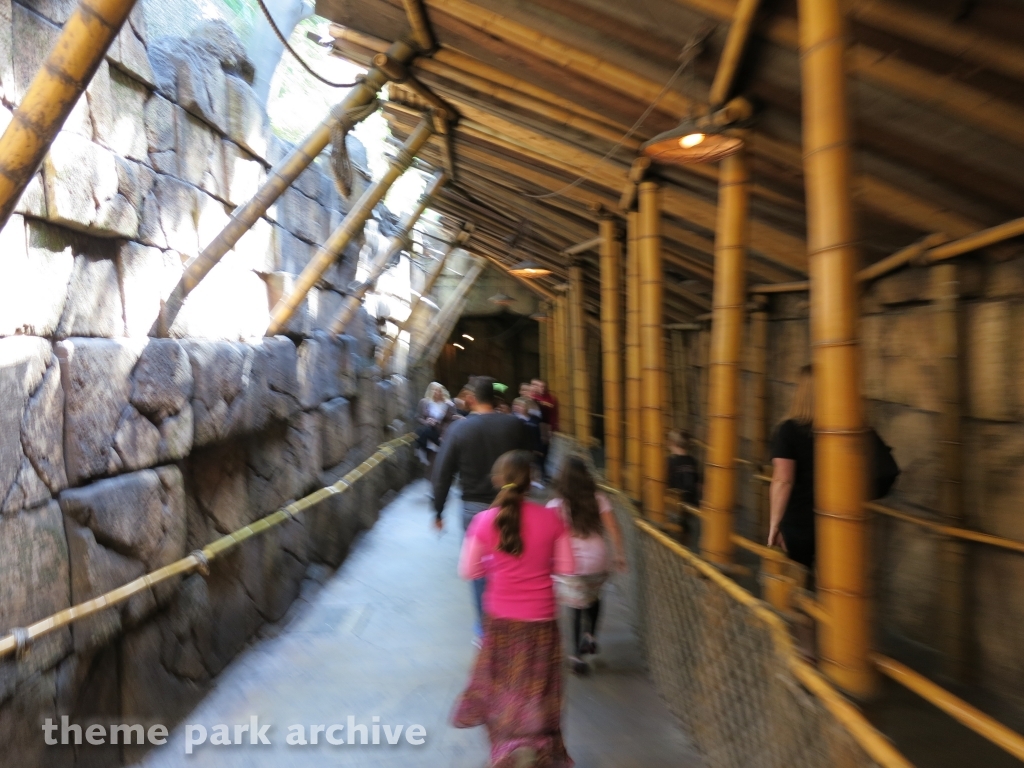 Indiana Jones Adventure at Disney California Adventure