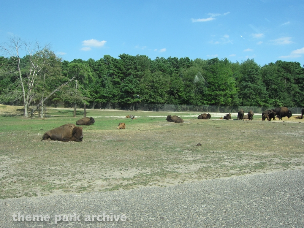 Wild Safari at Six Flags Great Adventure