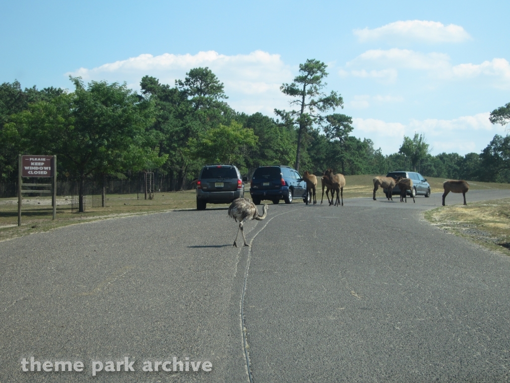Wild Safari at Six Flags Great Adventure