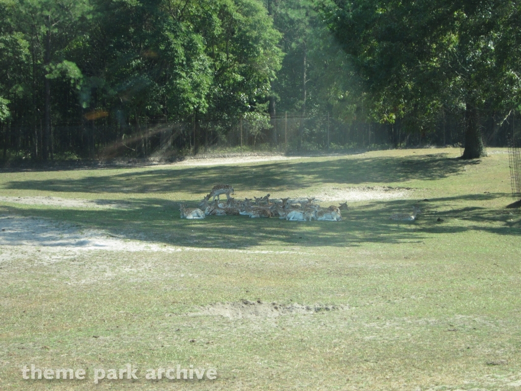 Wild Safari at Six Flags Great Adventure