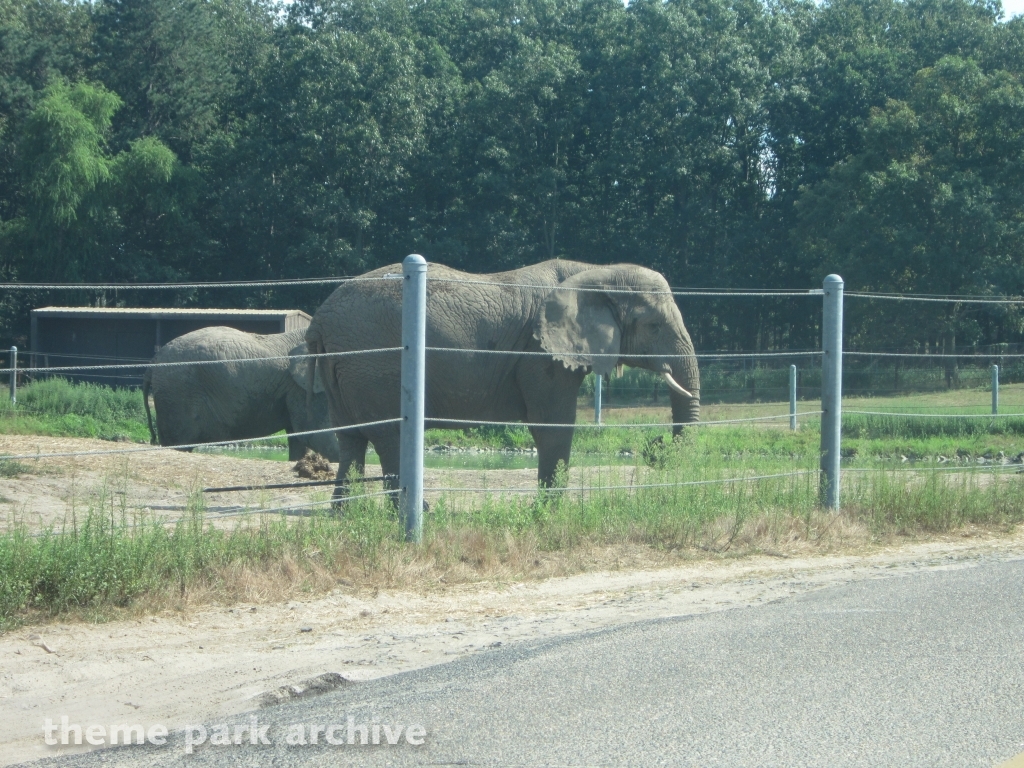 Wild Safari at Six Flags Great Adventure