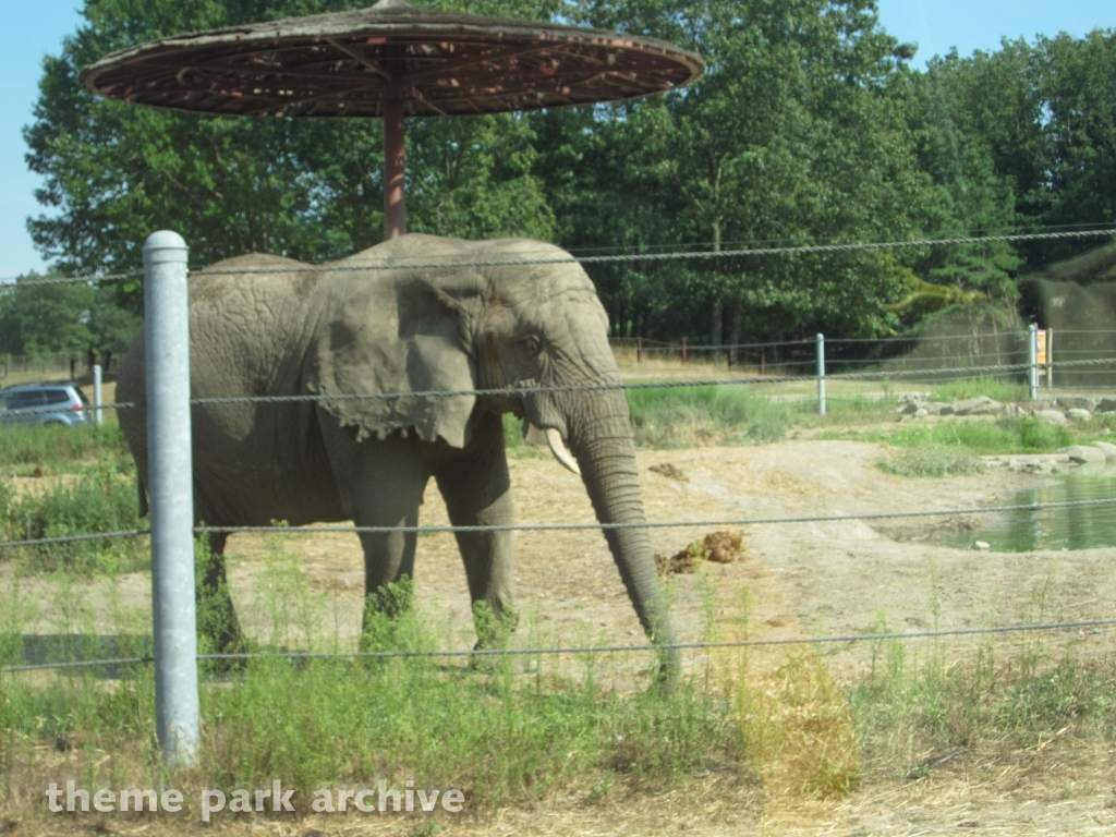 Wild Safari at Six Flags Great Adventure