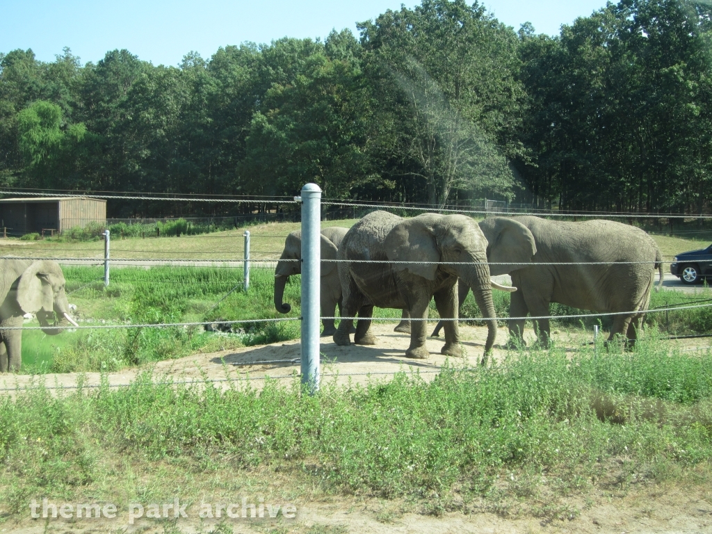 Wild Safari at Six Flags Great Adventure
