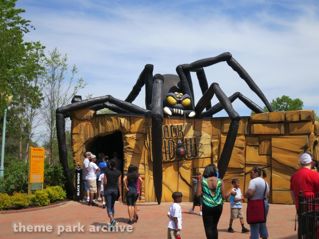 Black Widow at Kennywood