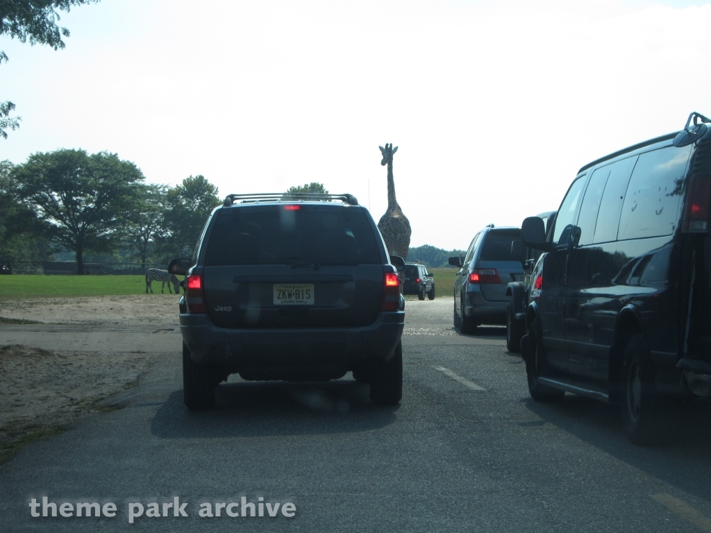 Wild Safari at Six Flags Great Adventure