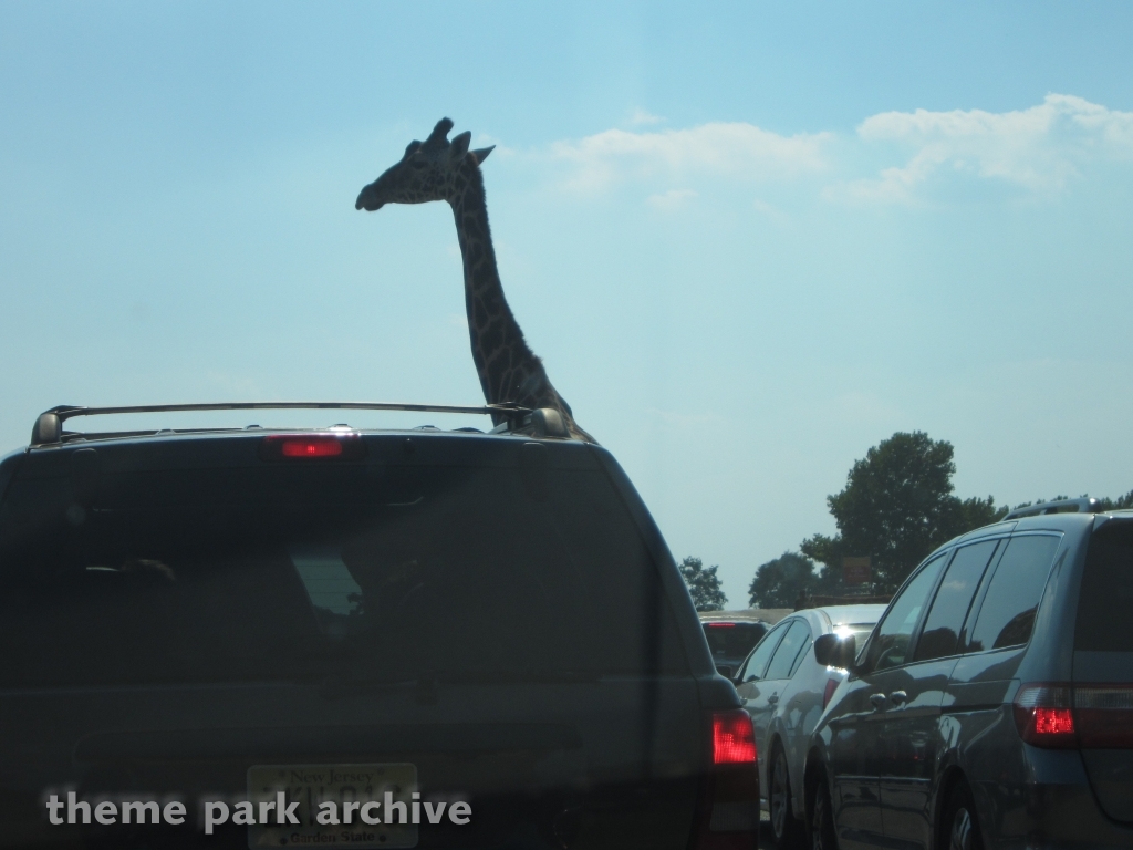 Wild Safari at Six Flags Great Adventure