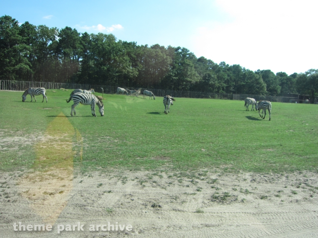 Wild Safari at Six Flags Great Adventure