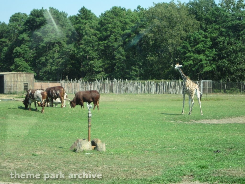 Wild Safari at Six Flags Great Adventure