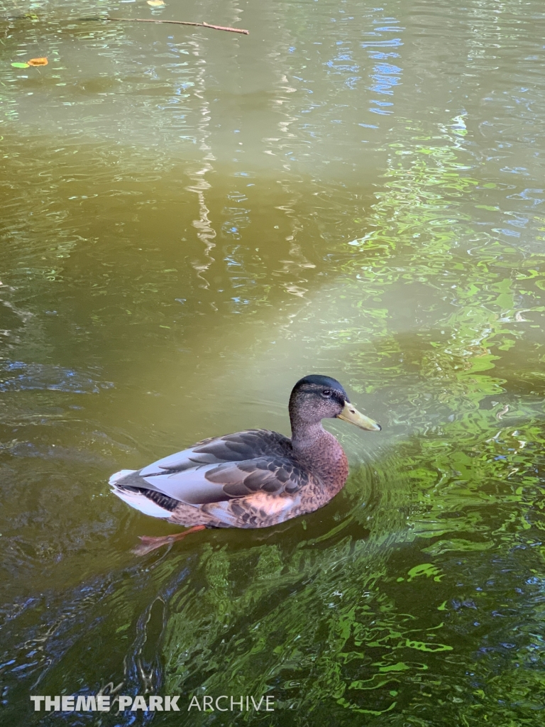 Flossfahrt Durch Die Urzeit at Freizeitpark Plohn