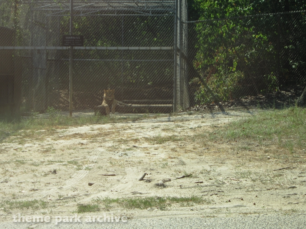 Wild Safari at Six Flags Great Adventure