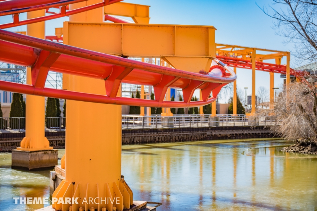Iron Dragon at Cedar Point