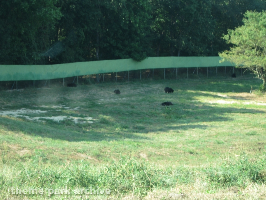 Wild Safari at Six Flags Great Adventure