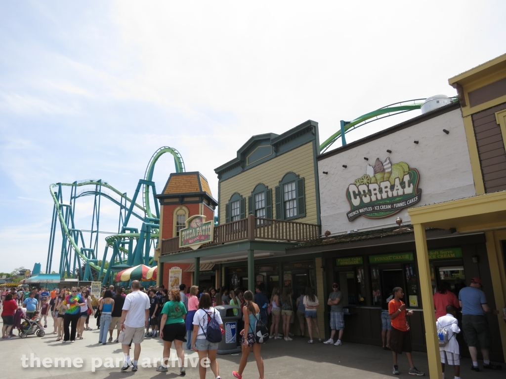 Raptor at Cedar Point