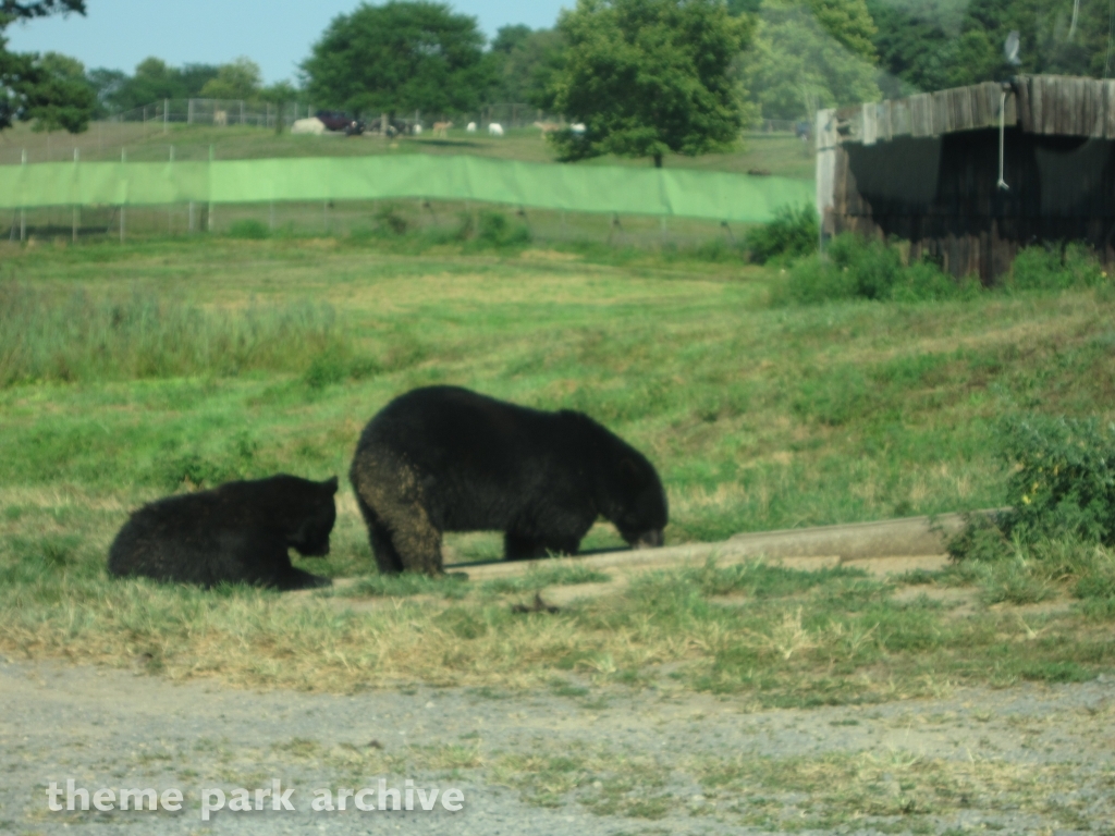 Wild Safari at Six Flags Great Adventure