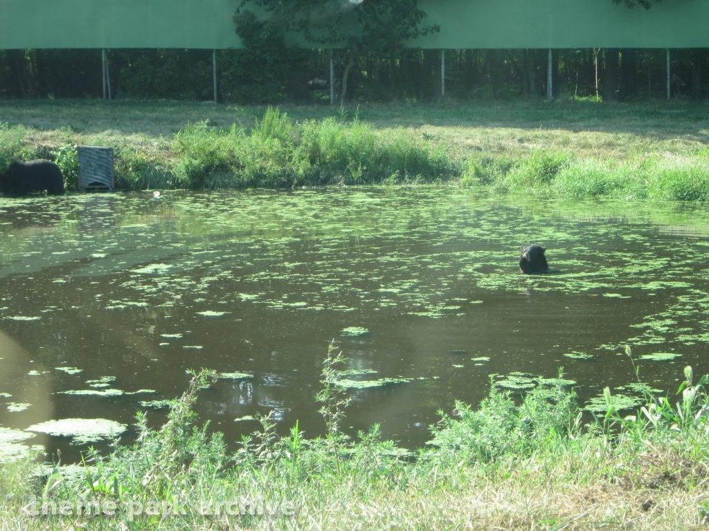 Wild Safari at Six Flags Great Adventure