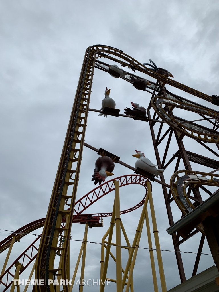 Wilde Hilde at Schwaben Park