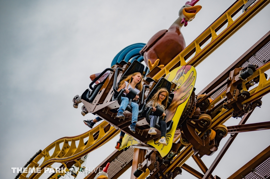 Wilde Hilde at Schwaben Park