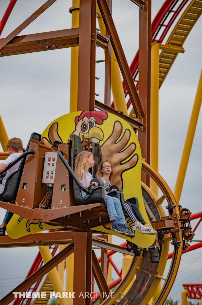 Wilde Hilde at Schwaben Park