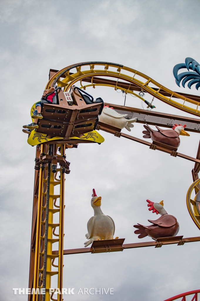 Wilde Hilde at Schwaben Park