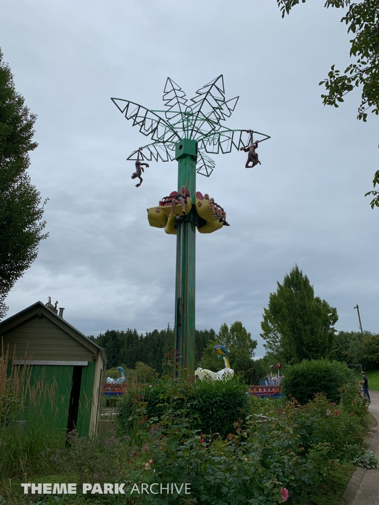Verruckte Palme at Schwaben Park