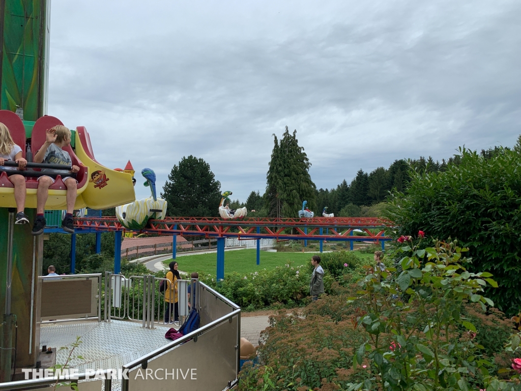 Verruckte Palme at Schwaben Park