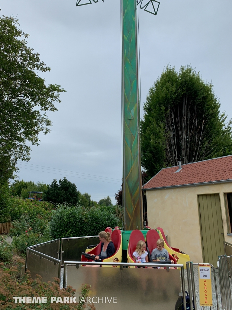Verruckte Palme at Schwaben Park