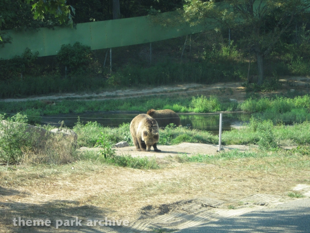 Wild Safari at Six Flags Great Adventure