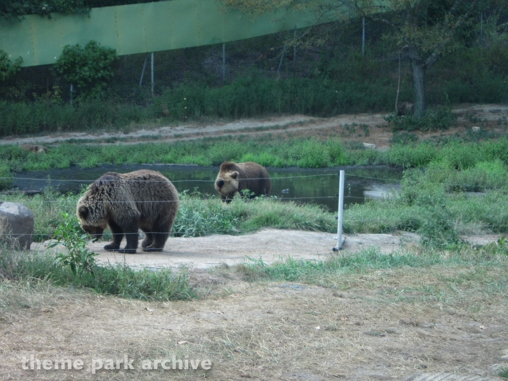 Wild Safari at Six Flags Great Adventure