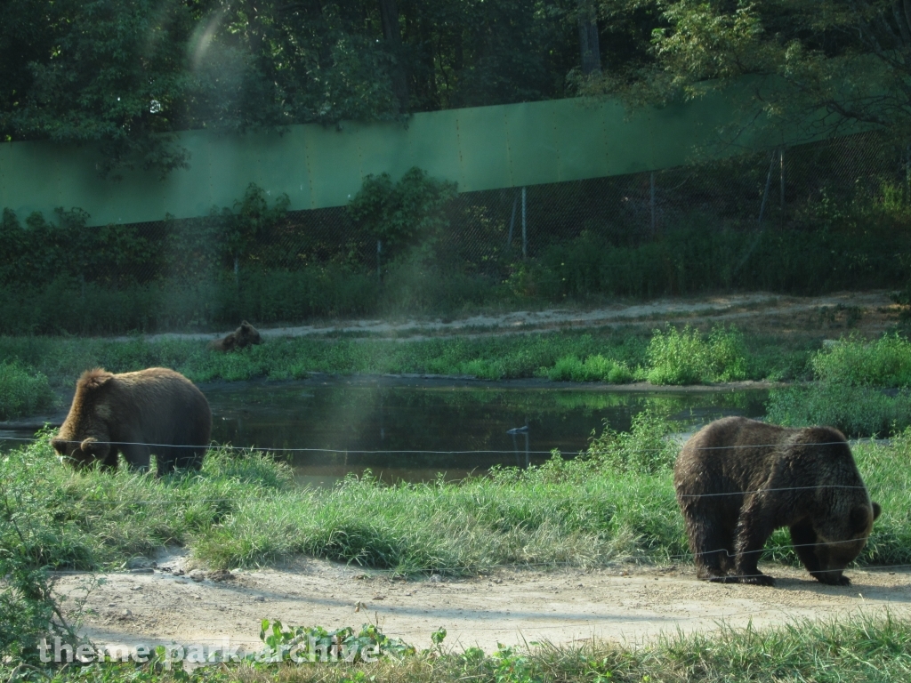 Wild Safari at Six Flags Great Adventure