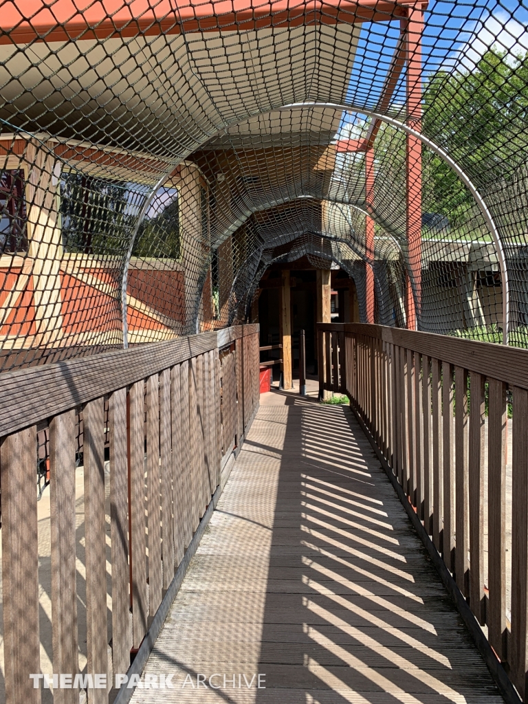 Speedy Bob at Bobbejaanland